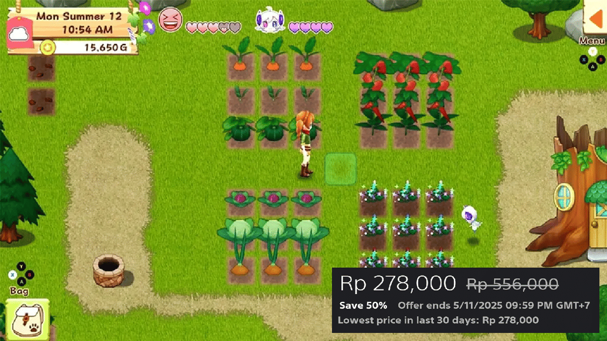 Harvest Moon: Light of Hope