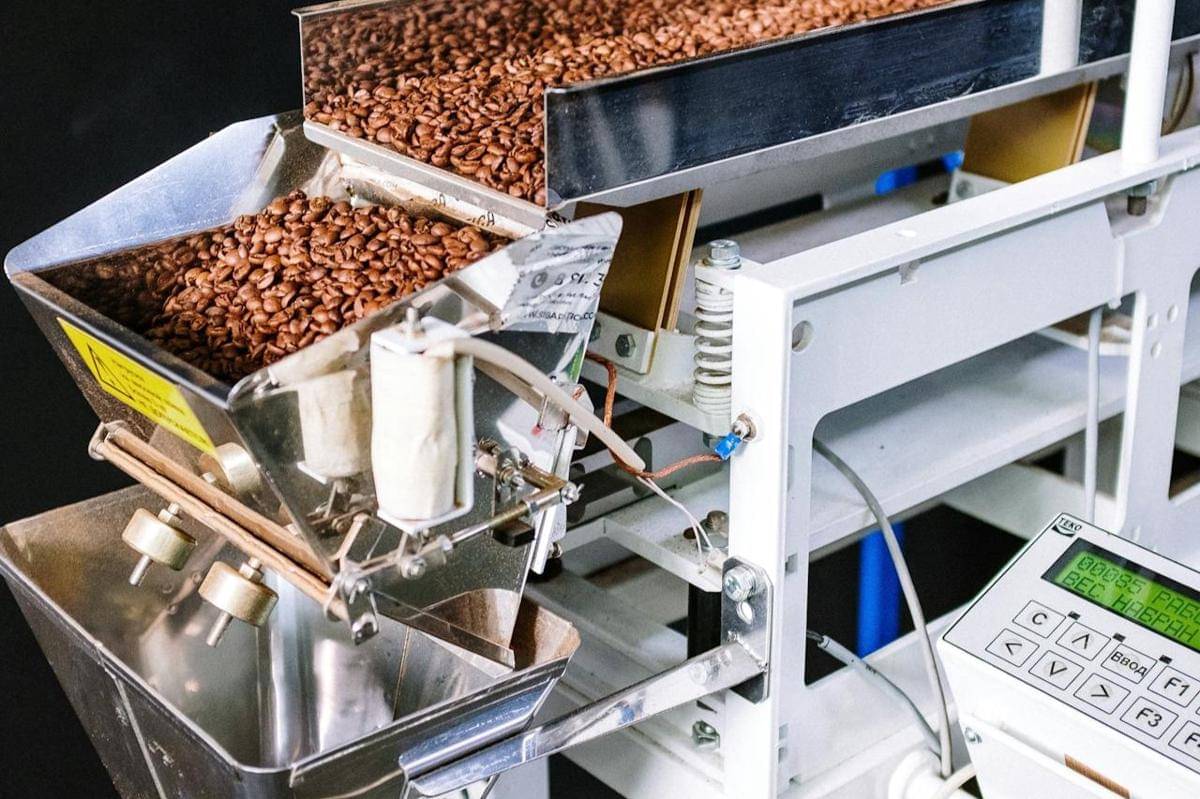 ilustrasi sortasi biji kopi secara modern