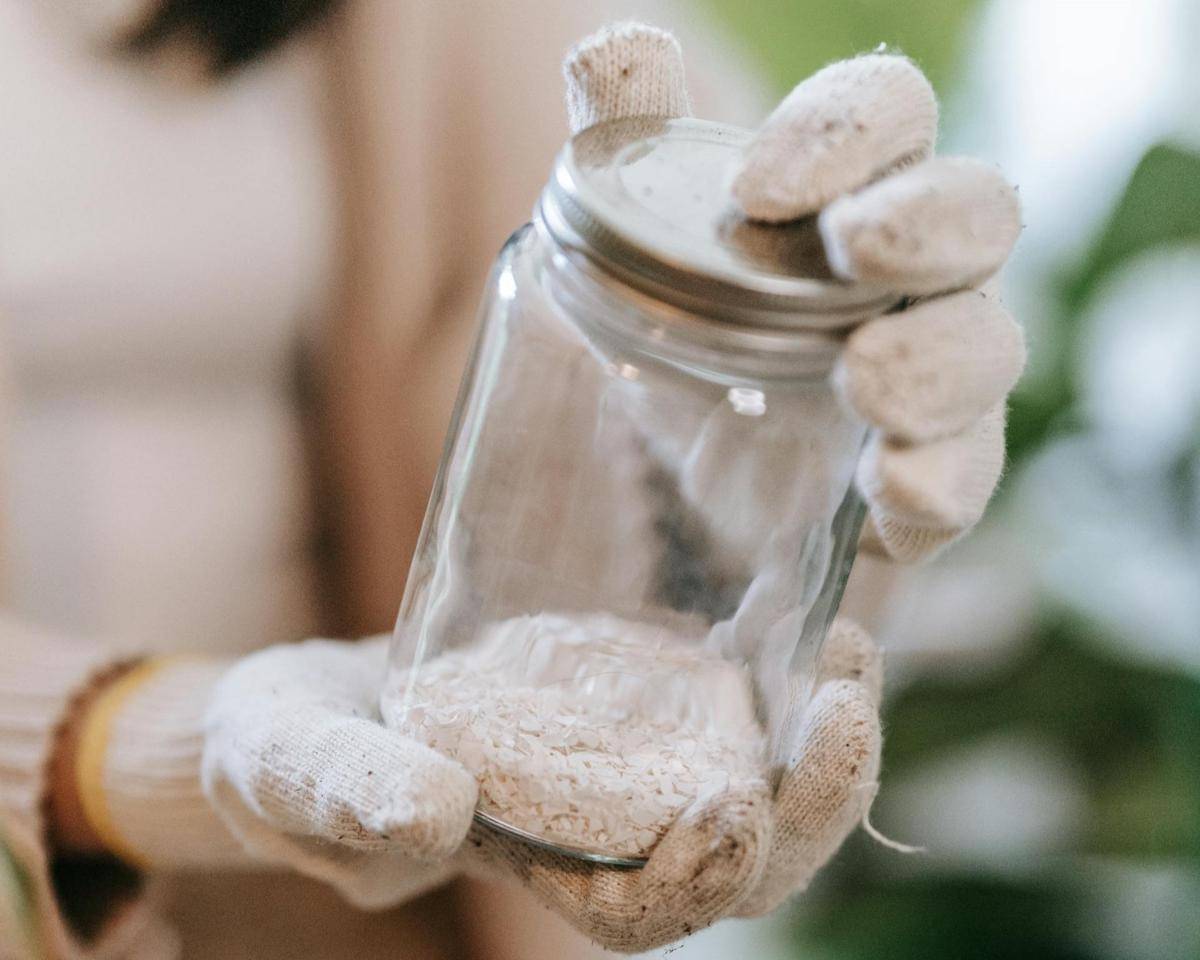 ilustrasi pupuk tanaman hias