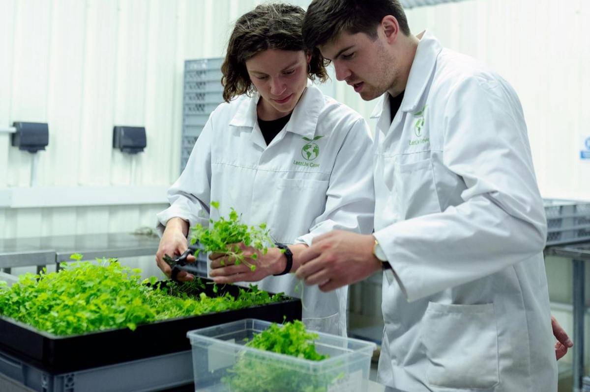 ilustrasi teknologi pangan