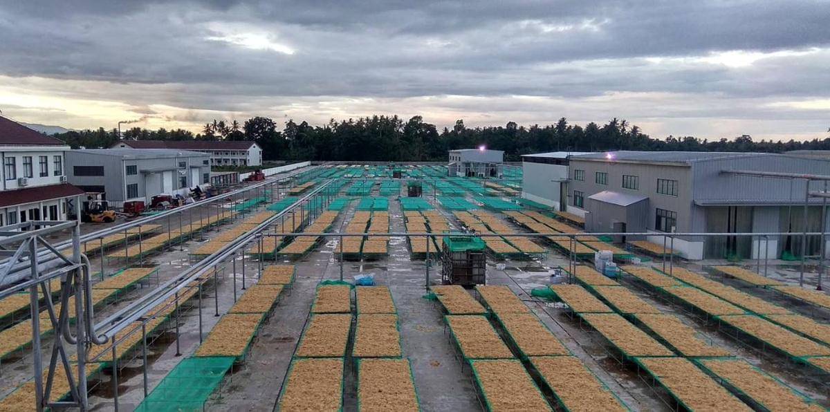 PLN mendukung pasokan listrik bagi PT Biota Laut Ganggang (BLG) yang berlokasi di Desa Polewali, Kecamatan Suppa, Kabupaten Pinrang, Sulawesi Selatan. PT BLG merupakan industri pengolahan rumput laut yang menargetkan ekspor ke pasar Eropa dan Amerika. (Dok. Istimewa)