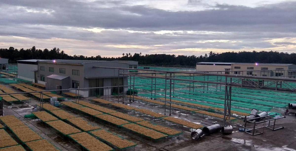 PLN mendukung pasokan listrik bagi PT Biota Laut Ganggang (BLG) yang berlokasi di Desa Polewali, Kecamatan Suppa, Kabupaten Pinrang, Sulawesi Selatan. PT BLG merupakan industri pengolahan rumput laut yang menargetkan ekspor ke pasar Eropa dan Amerika. (Dok. Istimewa)