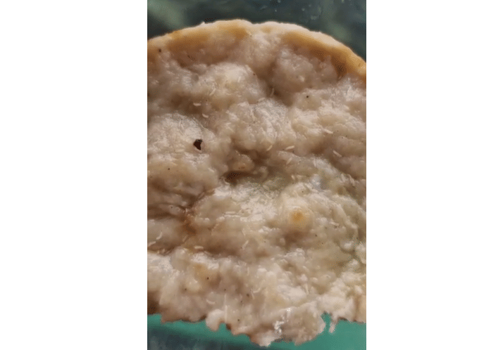 Daging ayam pada isian burger menu MBG di SMPN 10 Banjarbaru berbelatung. (istimewa)