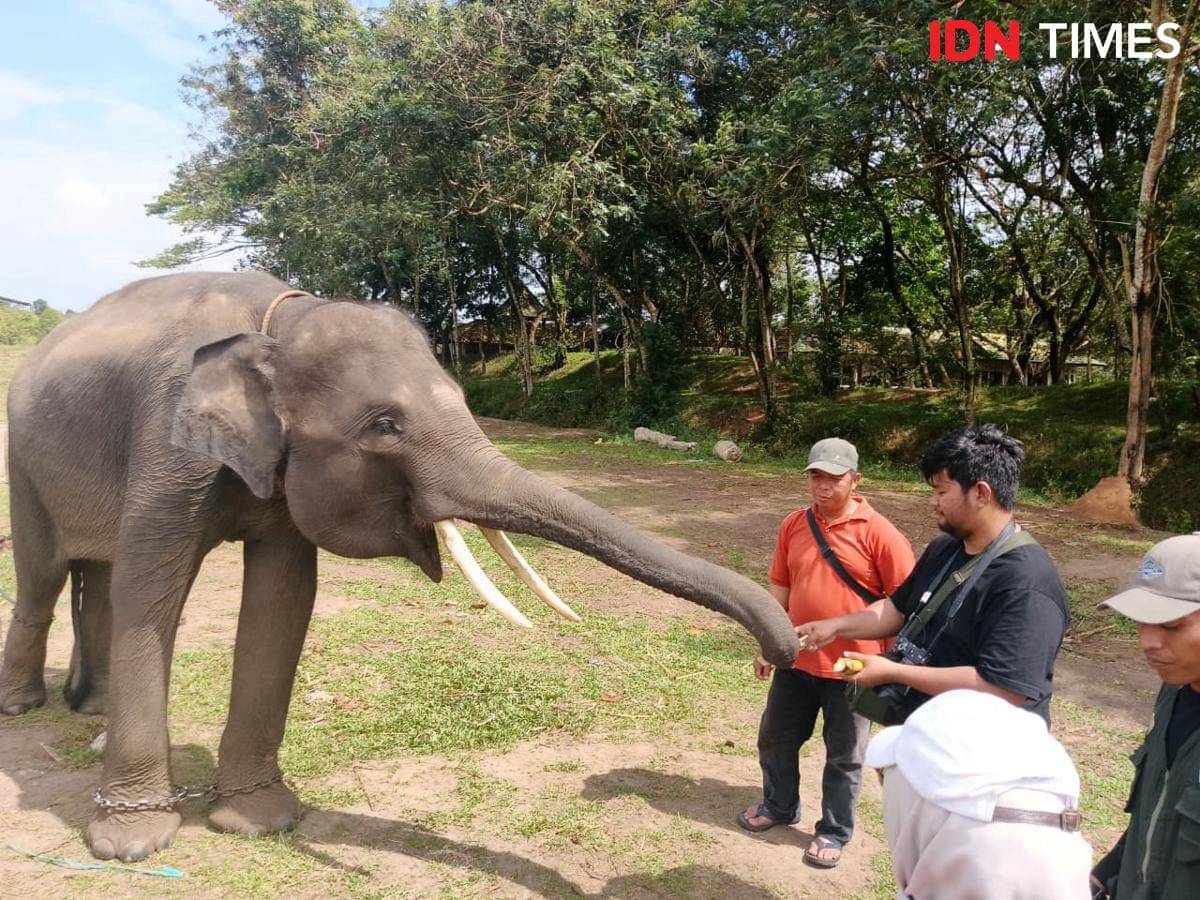 WhatsApp Image 2025-10-29 at 9.04.02 PM.jpeg