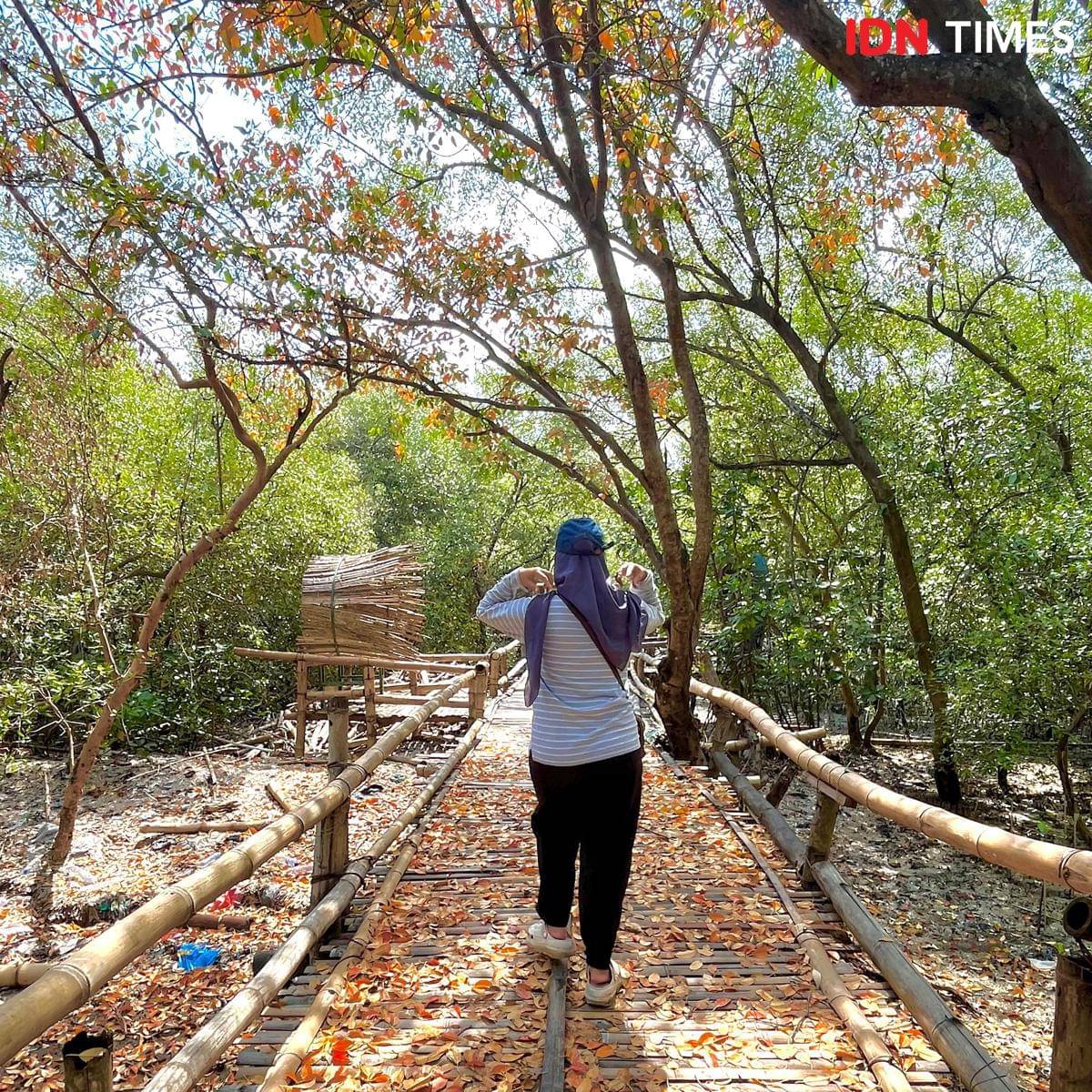 Potret turis di Eco Wisata Mangrove Wonorejo Surabaya