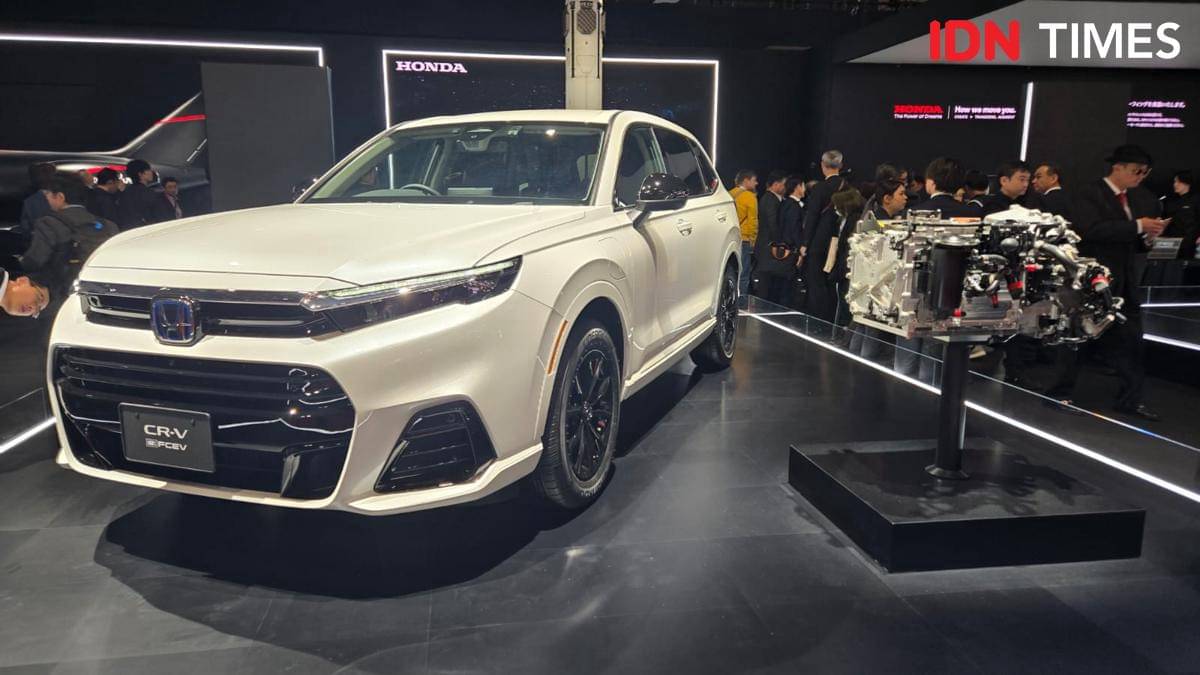 WhatsApp Image 2025-10-29 at 15.24.07.jpeg