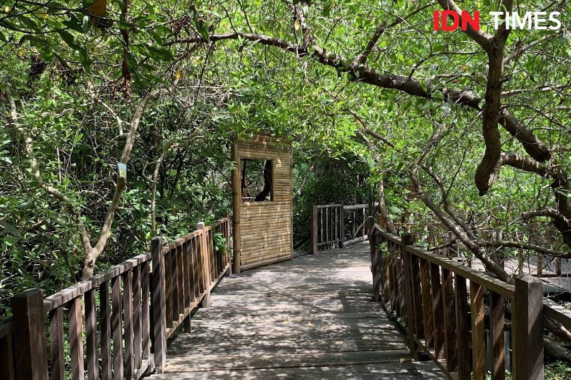 Potret Ekowisata Mangrove Wonorejo Surabaya