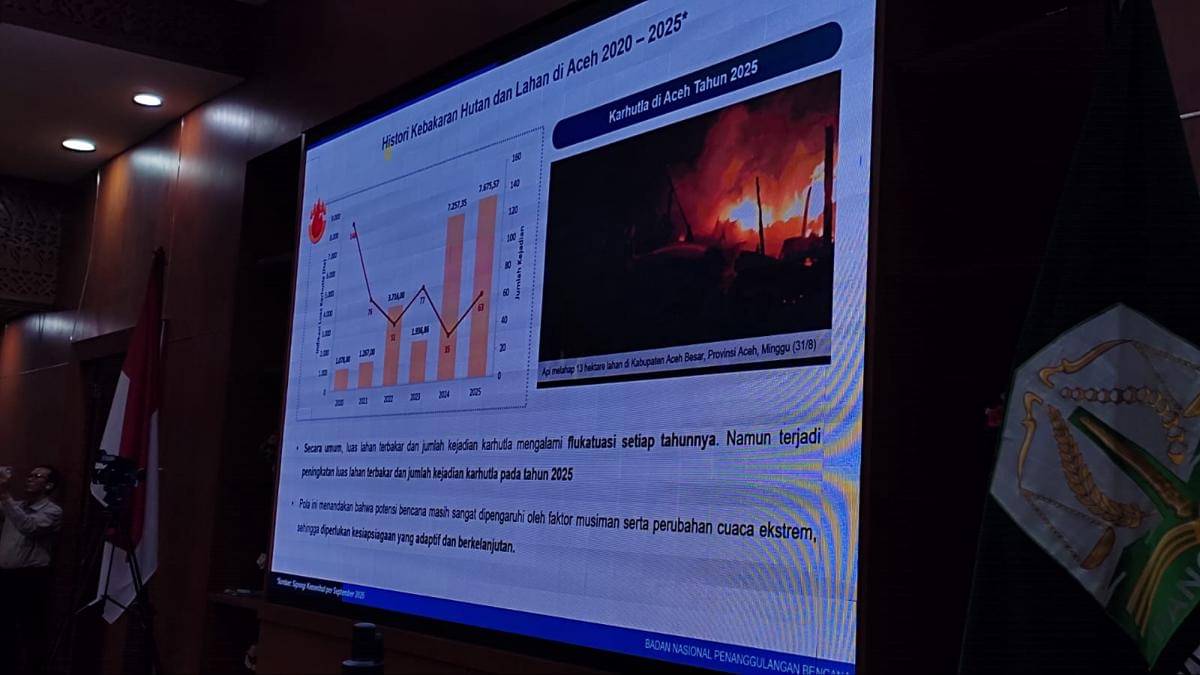 Data karhutla mulai 2020-2025 milik BNPB.