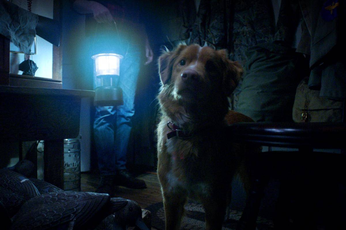 cuplikan adegan dalam film Good Boy