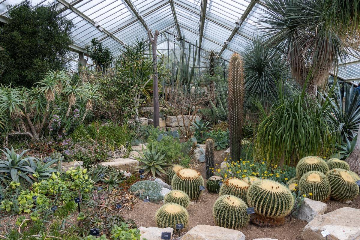 potret koleksi tanaman di Kew Gardens