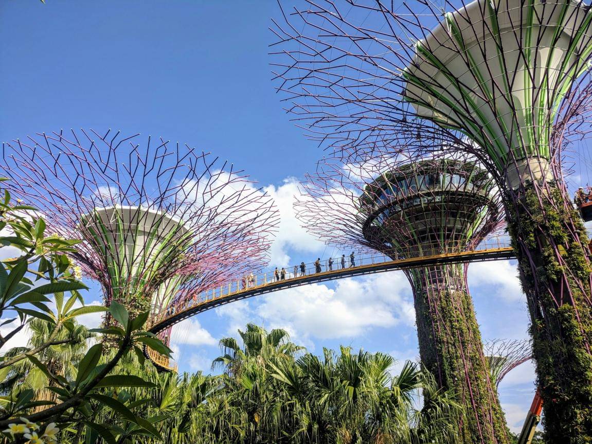 ilustrasi jalan-jalan di Gardens by the Bay Singapura