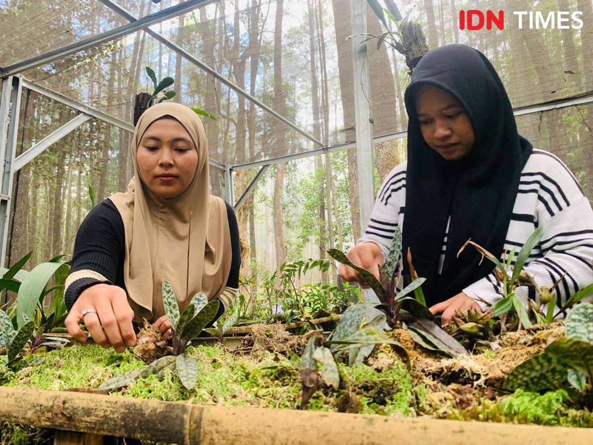 Dua perempuan dari kelompok tani ANECC tengah membersihkan tanaman anggrek (IDN Times/Doni Hermawan)