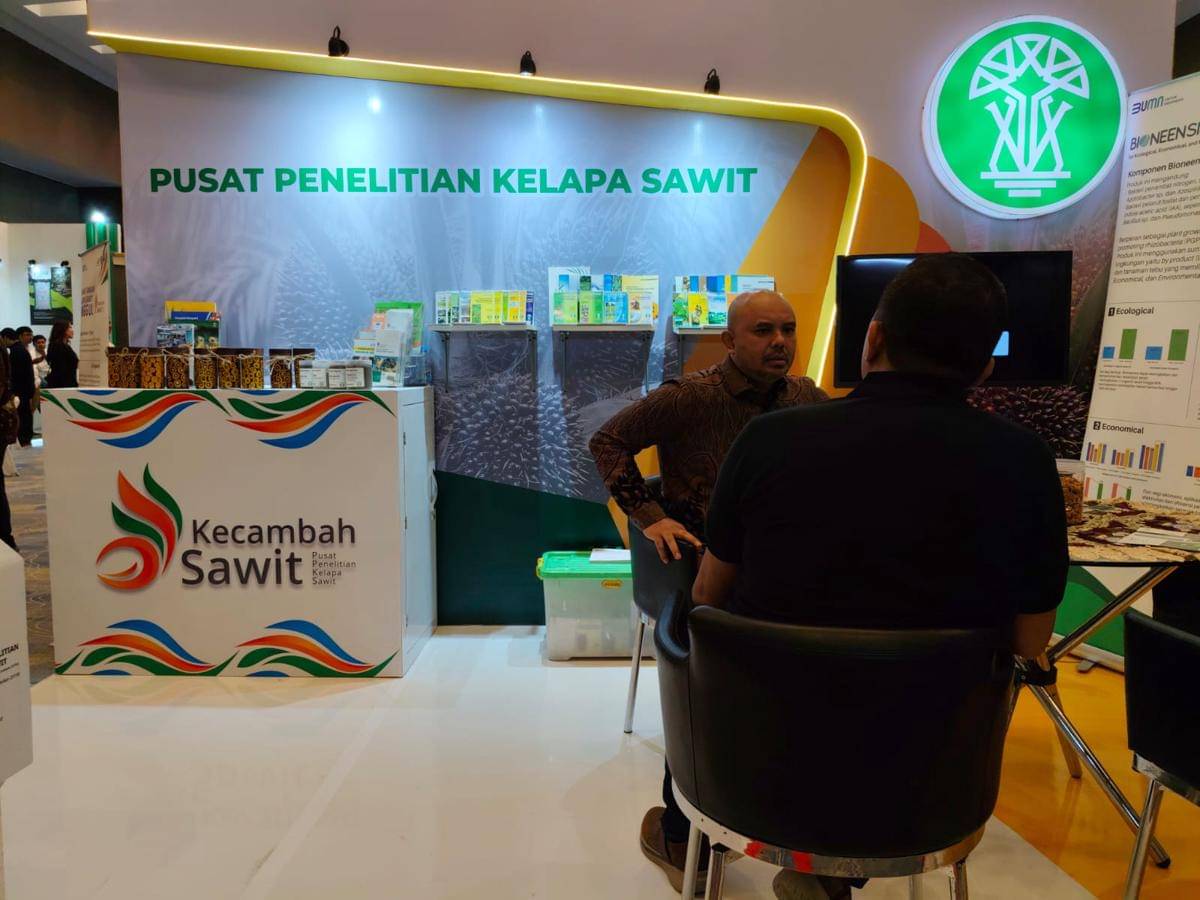 WhatsApp Image 2025-10-30 at 12.00.03_74b293bb.jpg