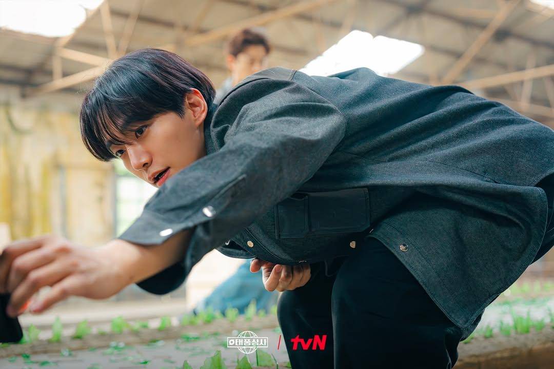 still cut drama Typhoon Family