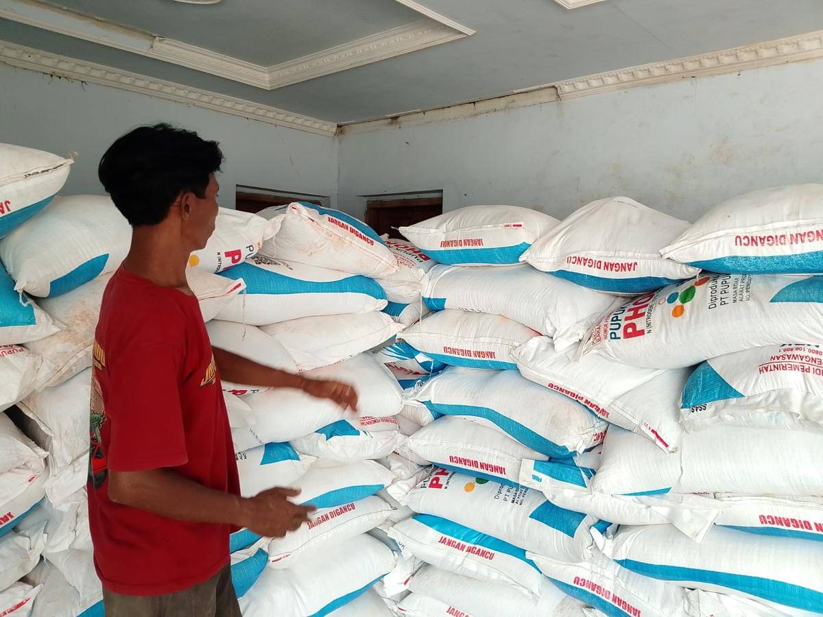 Distribusi pupuk subsidi dari kios kepada kelompok tani di Kecamatan Padang. IDN Times/Riyanto.