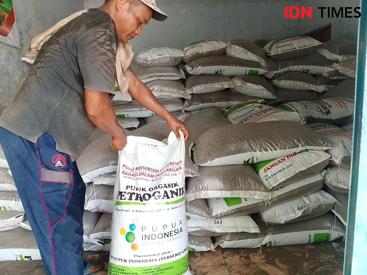Distribusi pupuk subsidi dari kios kepada kelompok tani di Kecamatan Padang. IDN Times/Riyanto.