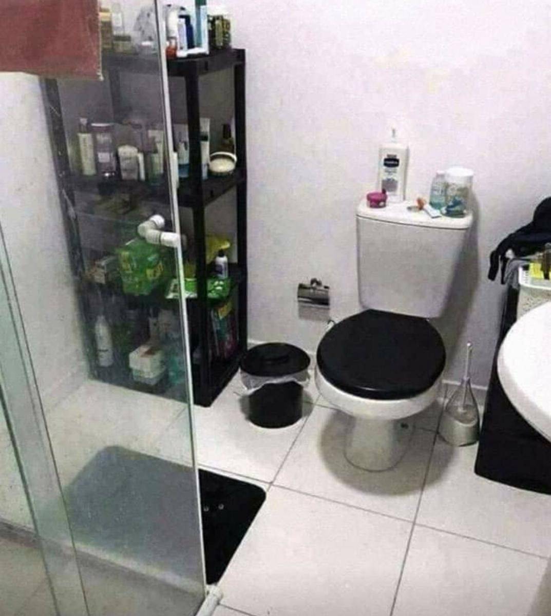 meme kucing berkamuflase