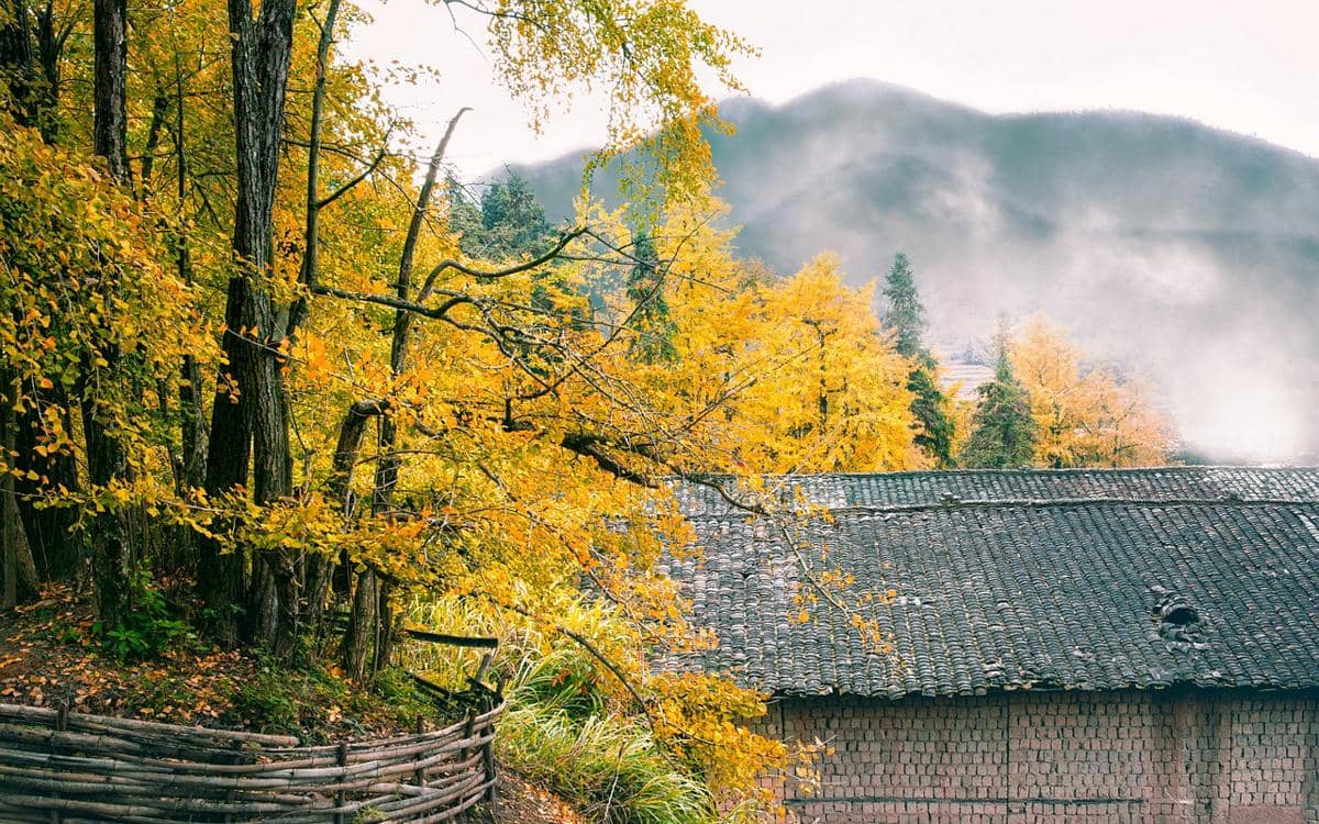 ilustrasi desa di China saat musim gugur 