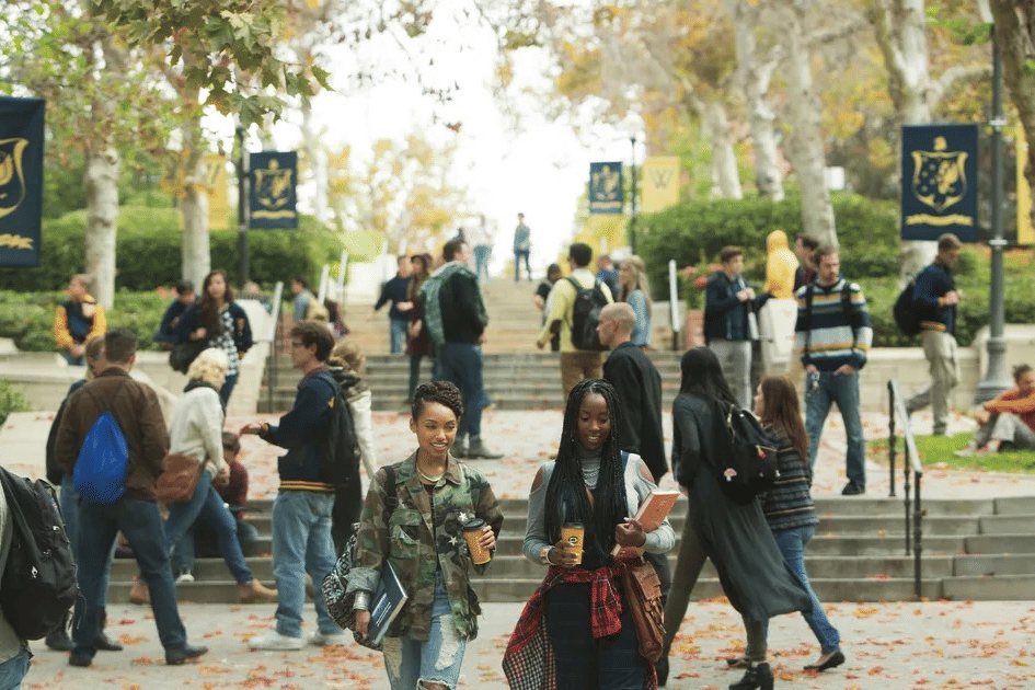 cuplikan Dear White People