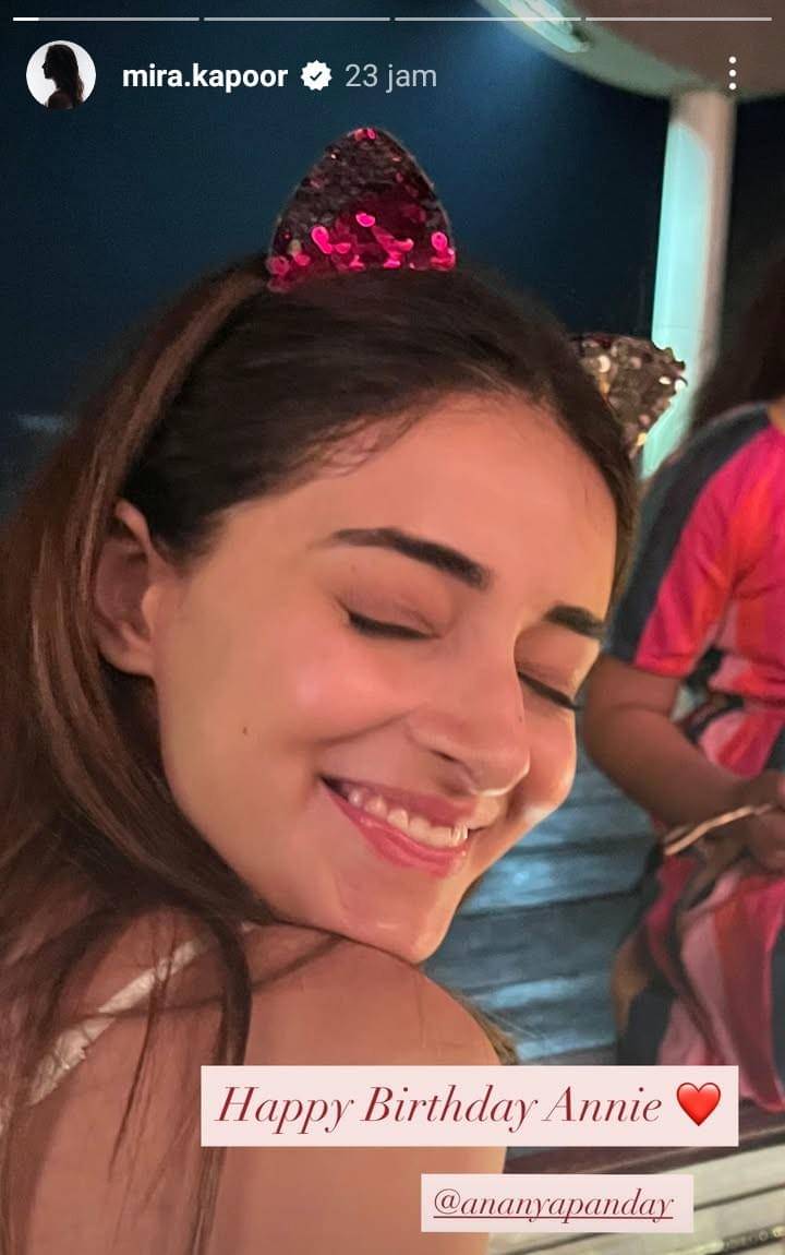 unggahan Mira Rajput