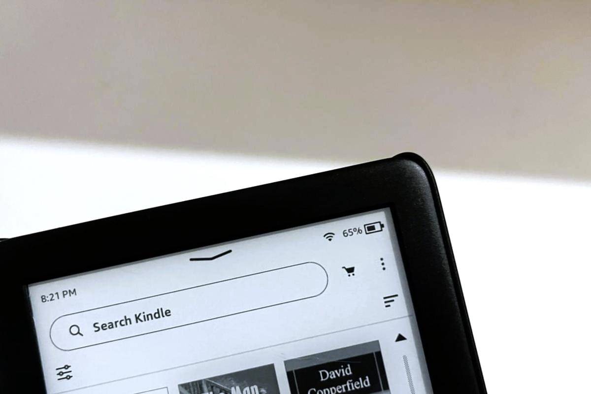 Kindle (dok Reddit/SleepyWiseCat)