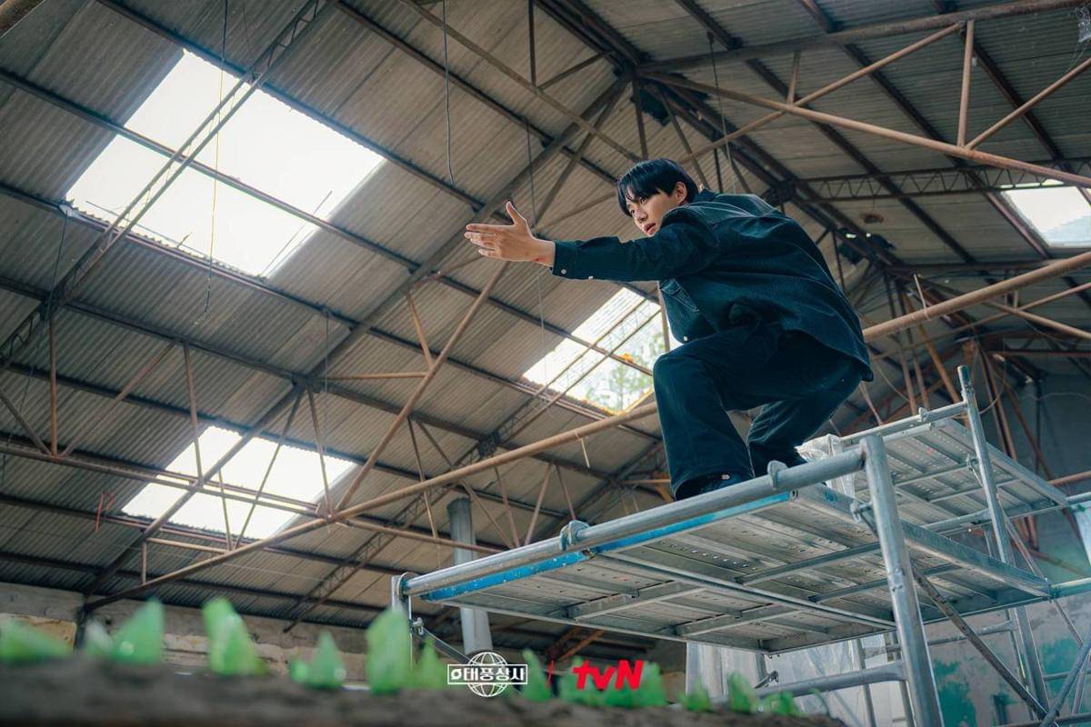 Cuplikan drama Korea Typhoon Family 