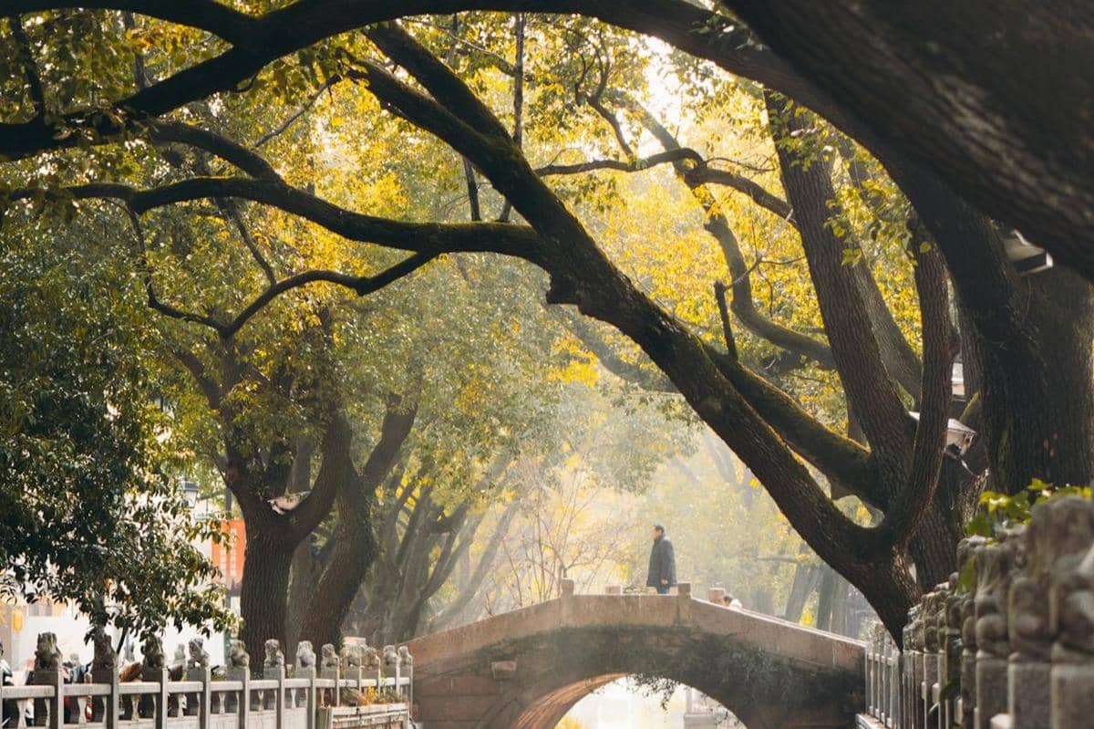 ilustrasi tips menghindari keramaian saat wisata musim gugur di China 