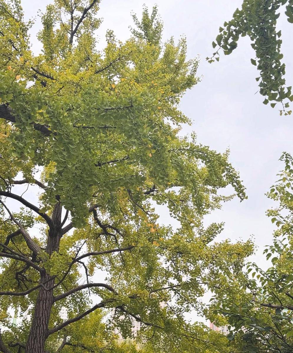 Natasha Wilona jalan-jalan di Kota Kunming