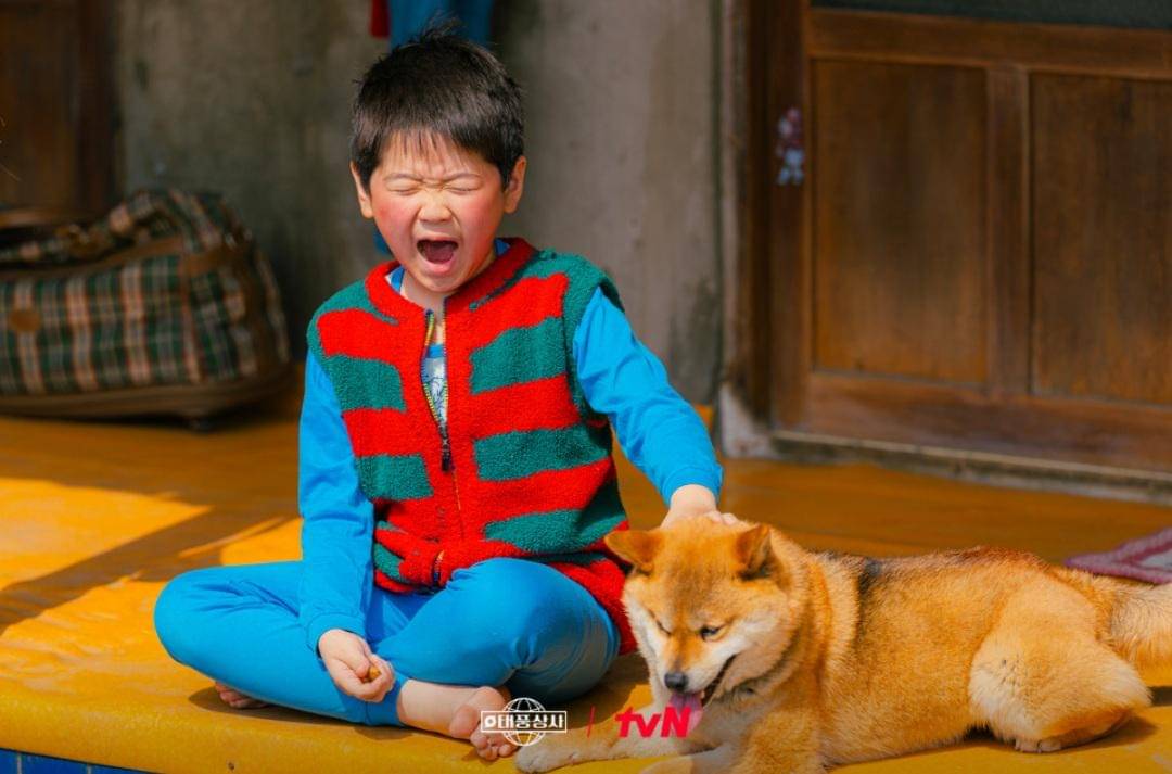 Cuplikan drakor Thypoon Family