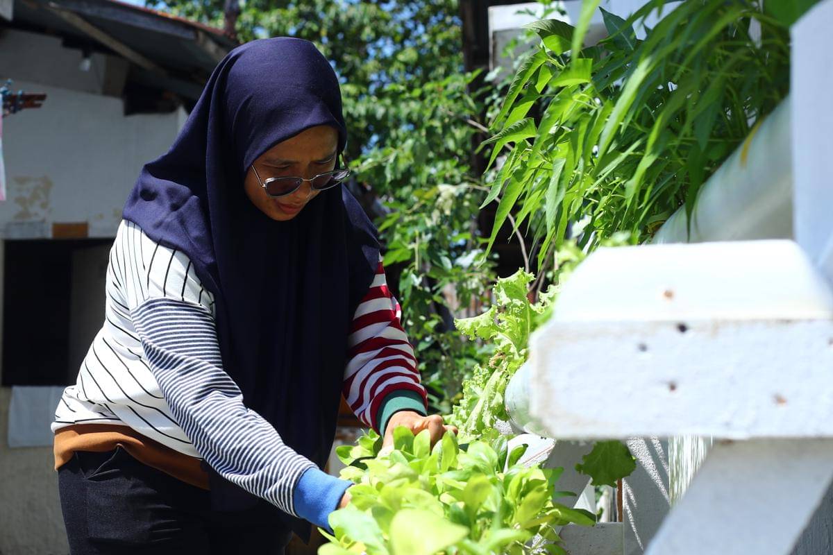 Warga menanam sayur-sayuran di pipa paralon dalam program Pertamina di Habonaron (IDN Times/Doni Hermawan)