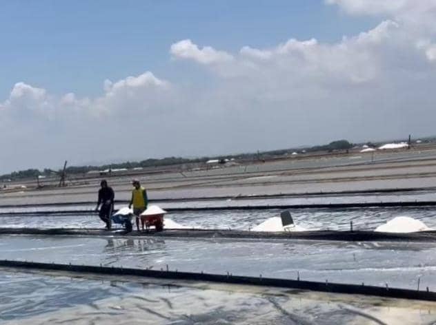 Bisnis Garam di Cirebon Mati Suri, sampai Mei 2026 Belum Ada Produksi