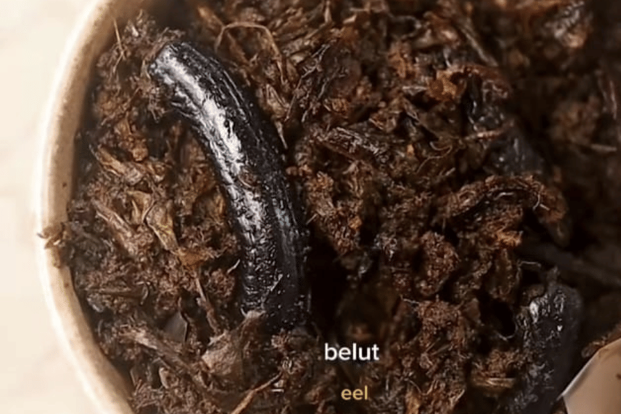 Potret renang belut yang disajikan dalam acara Piknik Rendang di Singapore Botanic Gardens, Singapura