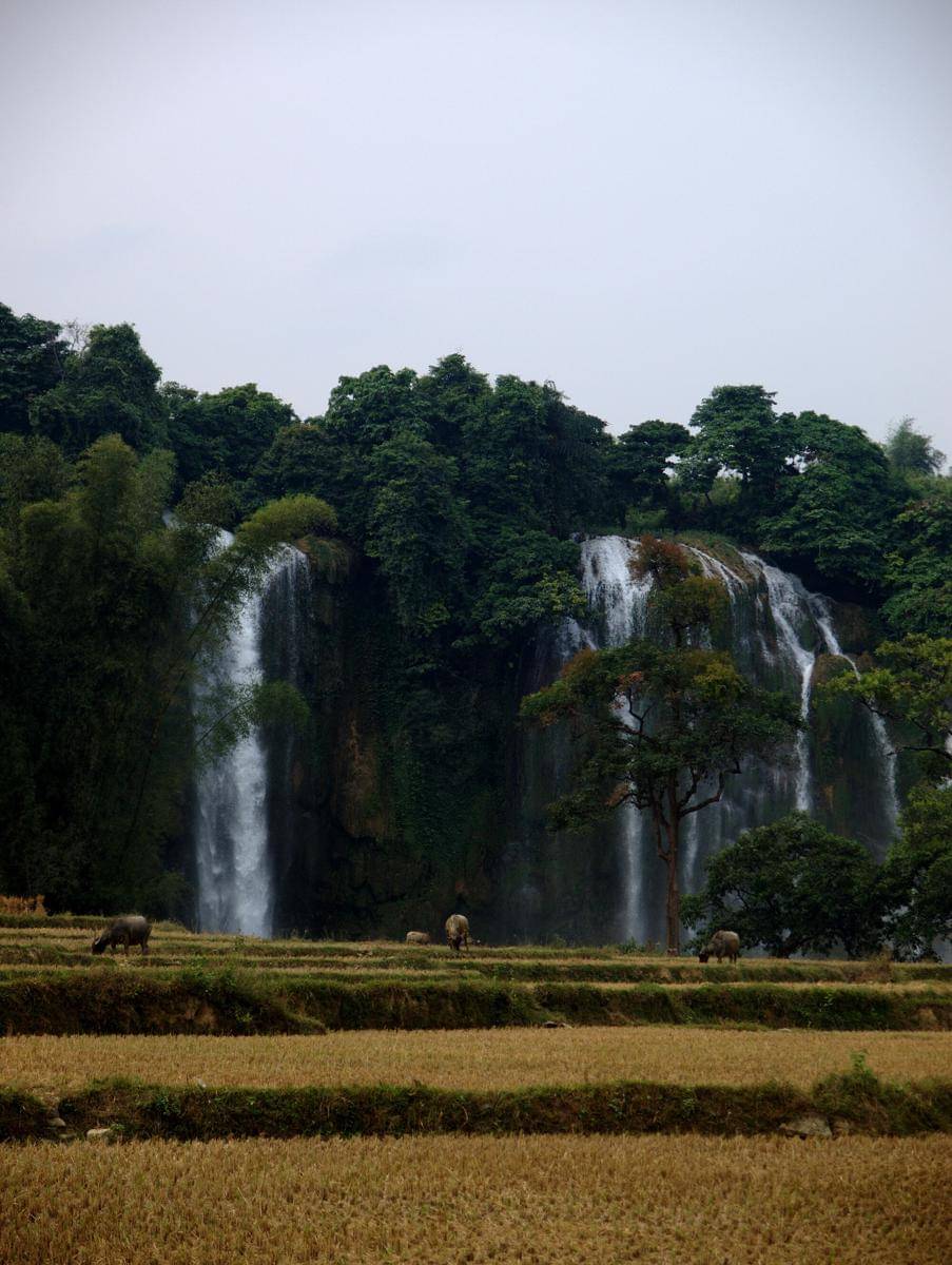 potret Ban Gioc Waterfalls