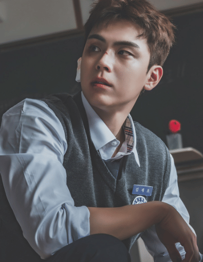 Poster karakter drama Dear X 