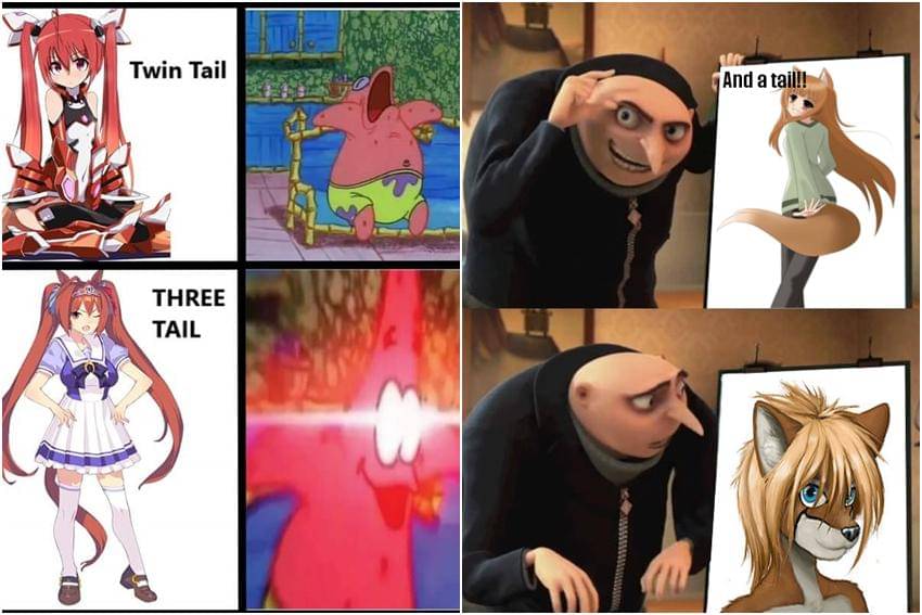 kolase meme karakter anime punya ekor