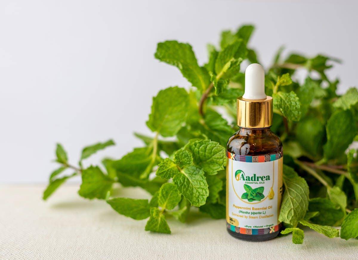 ilustrasi minyak esensial peppermint 