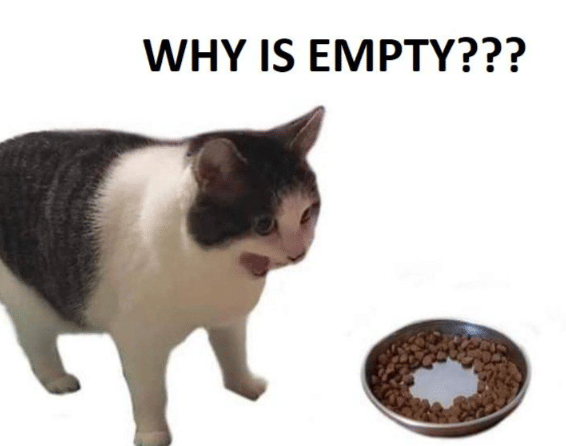 meme kucing gak kenyang-kenyang