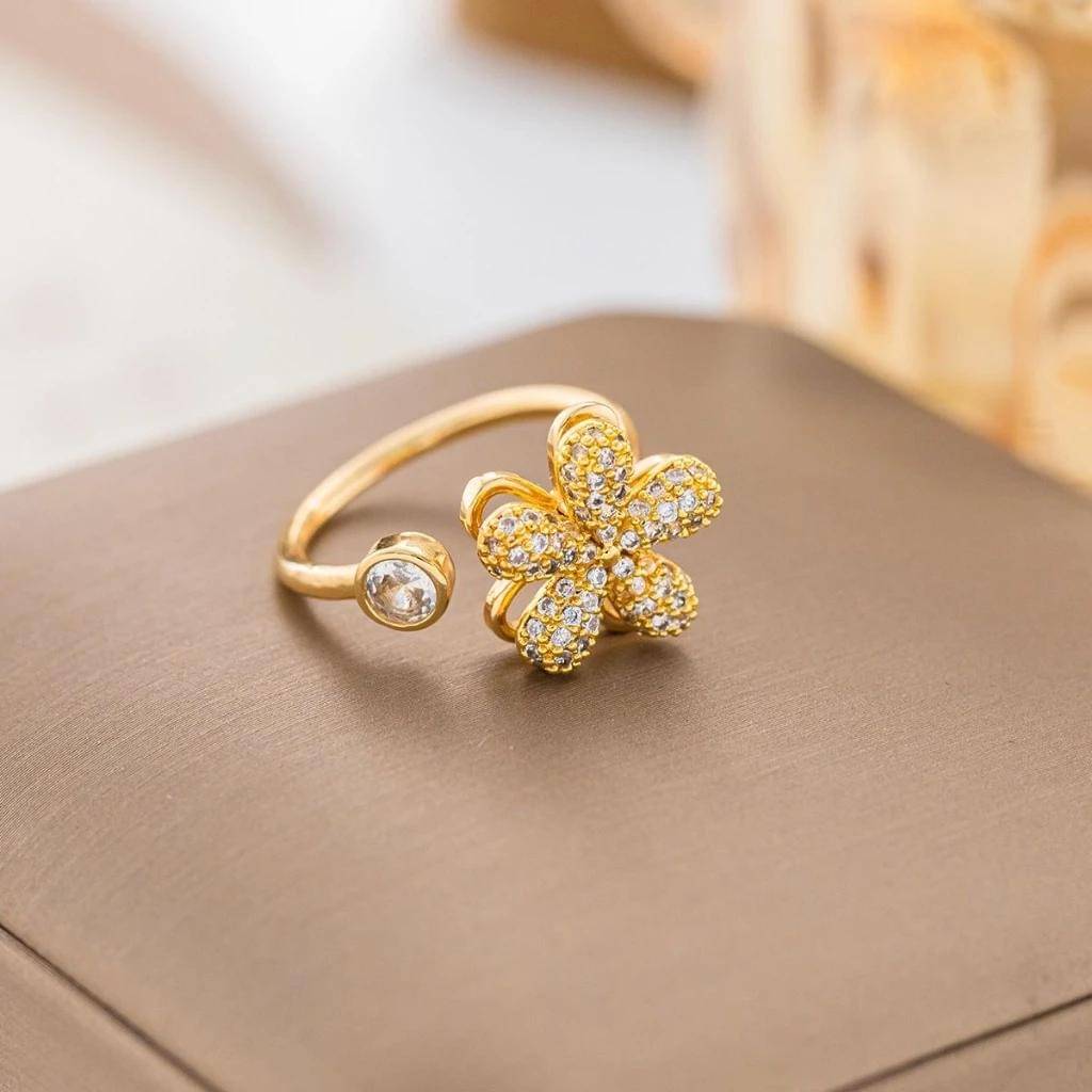 Dapng Cincin Putar.jpg