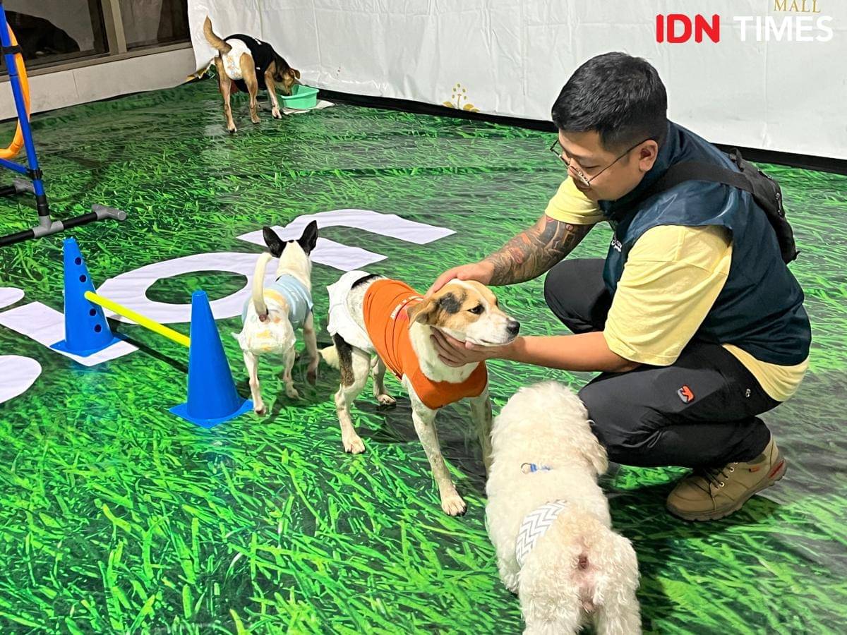 Para pecinta hewan berkumpul dan berinteraksi di acara Bark n' Bite yang diselenggarakan oleh Pawssion Project di Tentrem Mal Semarang, Jumat (31/10/2025). (IDN Times/Anggun Puspitoningrum)