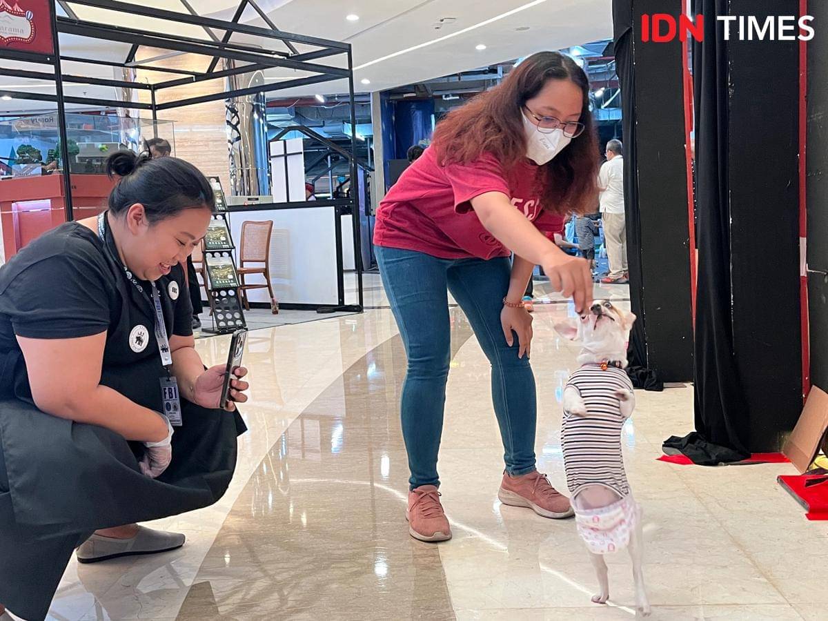 Para pecinta hewan berkumpul dan berinteraksi di acara Bark n' Bite yang diselenggarakan oleh Pawssion Project di Tentrem Mal Semarang, Jumat (31/10/2025). (IDN Times/Anggun Puspitoningrum)