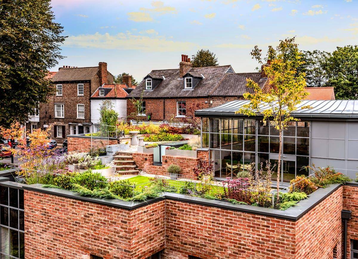 ilustrasi cara memulai kebun rooftop mini di rumah 