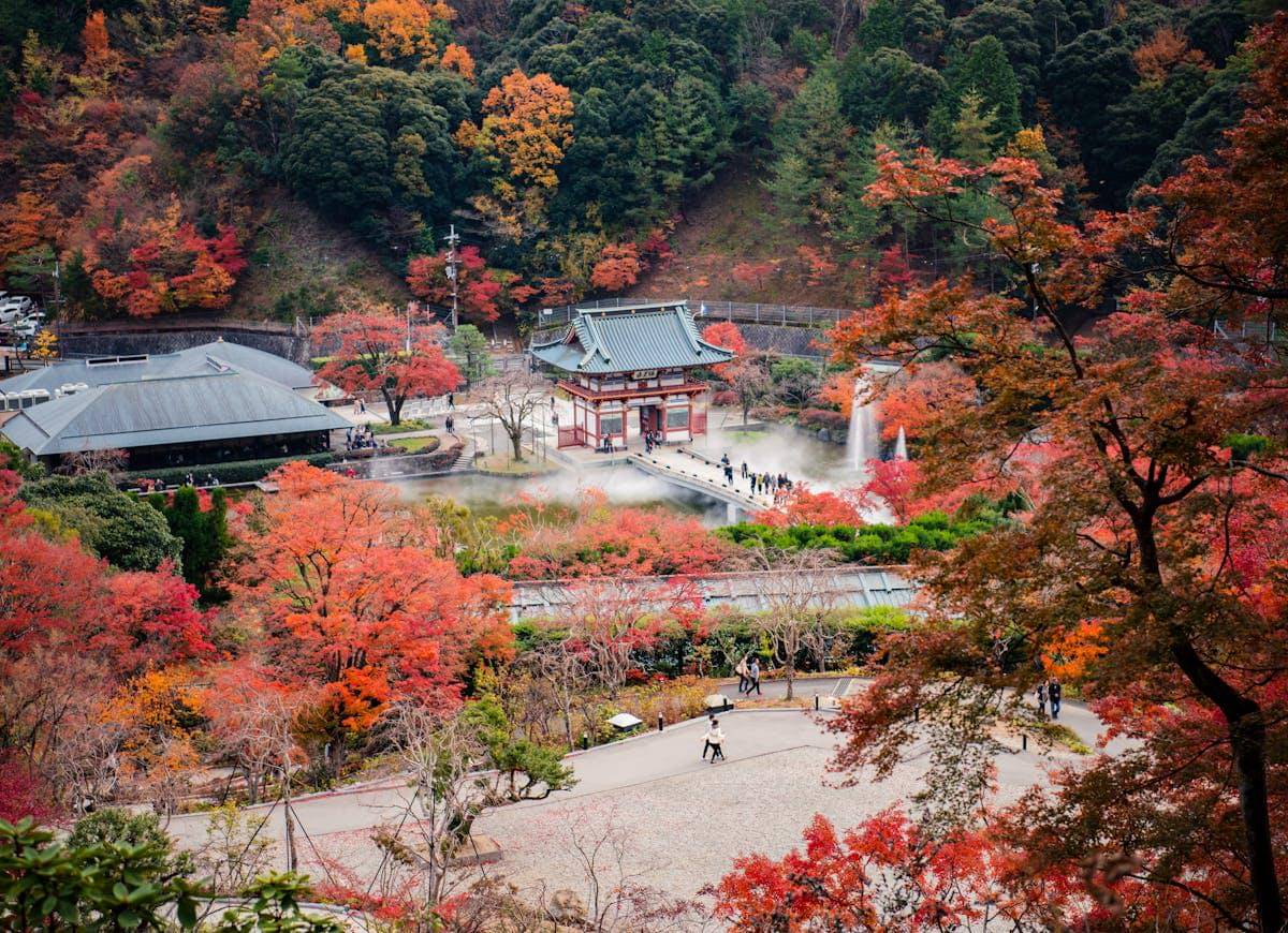 ilustrasi menikmati daun momiji di Minoo Park Osaka Jepang