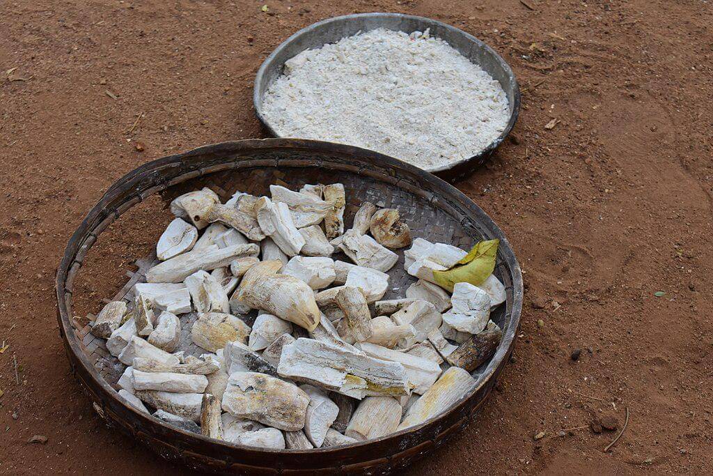 ilustrasi proses pembuatan tepung gaplek secara tradisional 