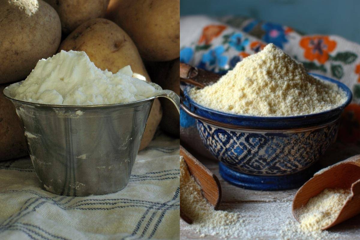 Potret pati kentang dan tepung kentang