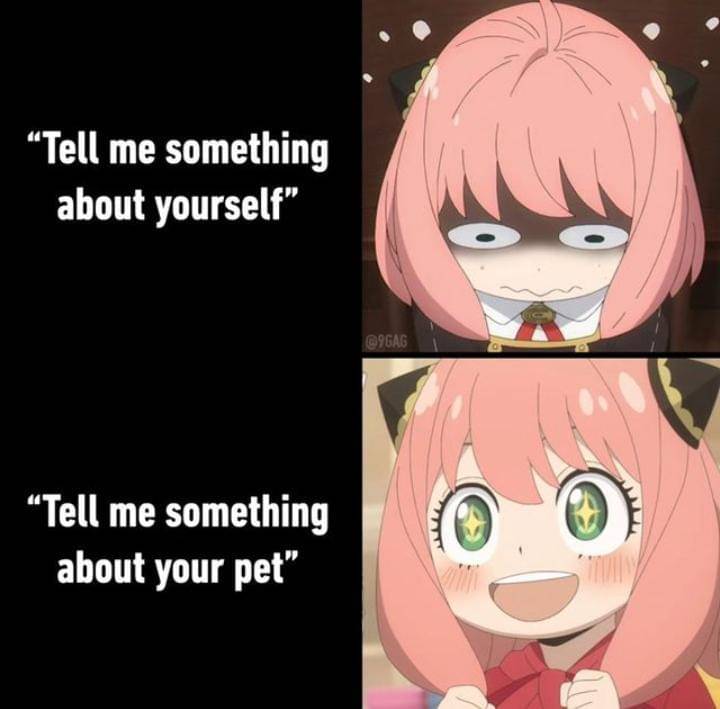 meme anime tentang hewan peliharaan