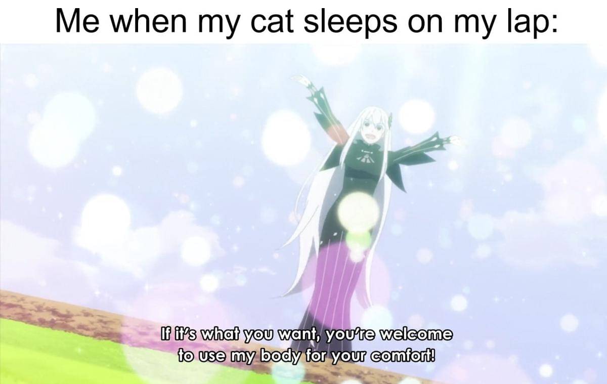 meme anime bantal dan guling