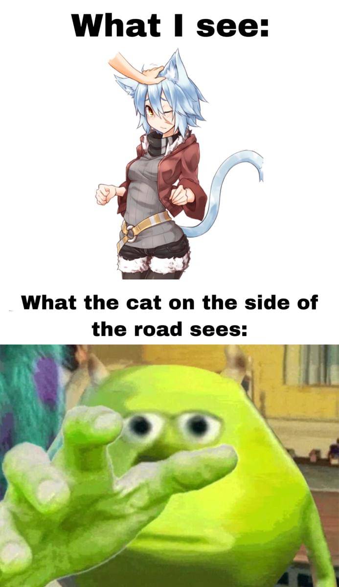 meme anime tentang hewan peliharaan