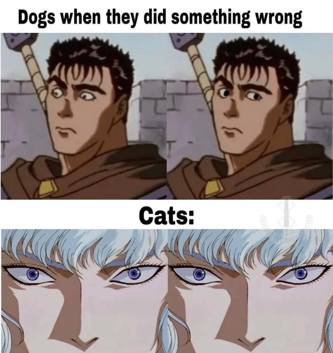 meme anime tentang hewan peliharaan