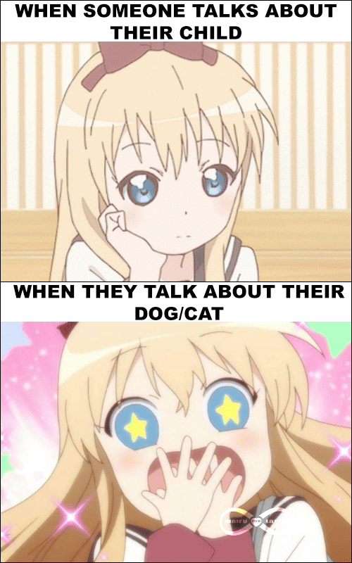 meme anime tentang hewan peliharaan