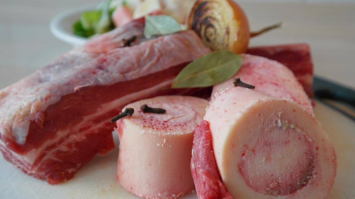 ilustrasi tulang sumsum